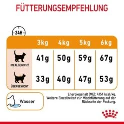 ROYAL CANIN Hair & Skin Care 2 Kg -Haustierprodukte 59ad6b832a494abe0d049a9853ac0b54a6beab2e 1003122007 8