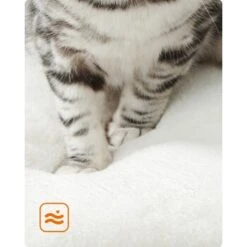 FEANDREA Kratzbaum 86cm Vintagebraun Dunkelgrau -Haustierprodukte 59c8f7dbe684955dce05fd55642a4efbe0124a91 1483574 de DE cb5b6b9bf568cfcabae2338f3d74a869baf9bd1cxK0b3y