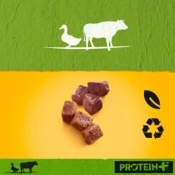 Pedigree Dose Protein+ In Pastete 12x800g Rind Mit Ente -Haustierprodukte 5bcfb7506934c392393531e7a2b33611110d2fcd 1394131 de DE pedigree 6