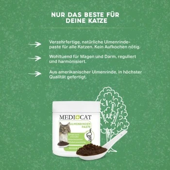MediCat Ulmenrinde Paste 3 MediCat Ulmenrinde Paste – Bild 3