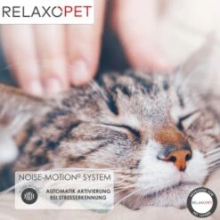 RelaxoPet PRO Entspannungs-Trainer KATZE -Haustierprodukte 5e807080a677a4a90a950f7dacb700870a866642 1315706 de DE e6dc4268241d05a0f2883b3084c91b24fed0467fmgVHw7