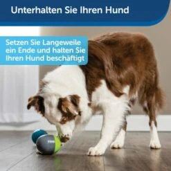 PetSafe Elektronisches Hundespielzeug Ricochet -Haustierprodukte 5eadda9b8e1c472d17e8160a968897c5f1589a26 1418724 de DE f0080b3bce77c44349e2b70b9453ceaf44e2d3d6nqnVTG