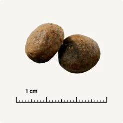 SELECT GOLD Sensitive Adult Maxi Lamm & Reis 4 Kg -Haustierprodukte 5ecaef2283d09cae98f0e7d2e361f17e4011fde6 1081889007 de DE 6