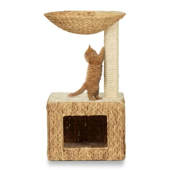 Silvio Design Wohnboy Casa 1 Silvio Design Wohnboy Casa