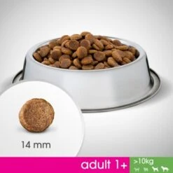 PERFECT FIT Adult 1+ Huhn M/L 6kg 15 PERFECT FIT Adult 1+ Huhn M/L 6kg -Haustierprodukte 60a46bf0c36b4d08300c5be02ab247fcab8c8c4b 1342010 de DE Foodshot 3