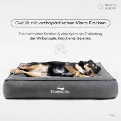 Freudentier Orthopädisches Box Hundebett Siebenschläfer M -Haustierprodukte 61723156d2f7b54e22f71e43abc1163a7ef00ee3 1477909 de DE 93feee0eca897413bd7276c1693c404746a7a792qKZ8IZ