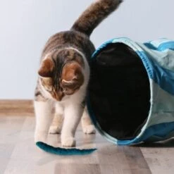 Kater Kasimir 3 Handgerollte Filzwürmchen Aus Schurwolle + 1 Mini-Flasche Katzenminze-Spray -Haustierprodukte 628f7d1d4ec1f70990cd24d861db16d7b447278c 1409266 de DE e1034005335ef5de37662c8ab367f77b33e0f5830ItxtL