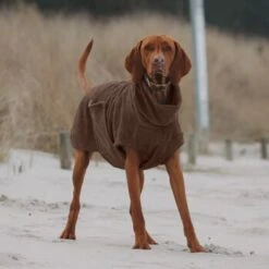 THE DOG IDEA Bademantel Every Braun XXXS -Haustierprodukte 62c517832f7f923b83b0a0ee681a77b2e33cc3c3 1473036 de DE 2393ef51979dd0191b0261c826741cb7543b7b3brAaZfV