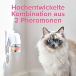 Beaphar CatComfort Excellence Nachfüll-Flakon Für Verdampfer -Haustierprodukte 62f9ebd7607b7a060b32fb11dae75f2d3caa19ec 1416647 1 1