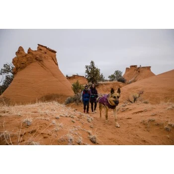 Ruffwear Overcoat Fuse™ Hundejacke Violett XXS 11 Ruffwear Overcoat Fuse™ Hundejacke Violett XXS – Bild 11