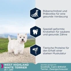 EUKANUBA Breed Specific West Highland White Terrier 2,5kg -Haustierprodukte 6521f5ceab60ab065ad87a9db86f30ab5042a063 98bff0743e42d372576a1a240315922ae05b22b4