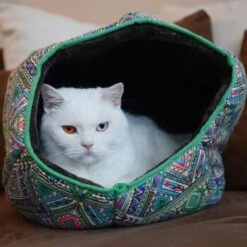 Canadian Cat Company Katzentunnel COSMO M -Haustierprodukte 67f448259cbca2b76f0f056d6321e3f462cbbfb2 1412665 de DE 5bb2b25340ddb934c05b11da4b3410ce26fcf1f8fEc8B6