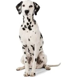 MORE Liegeplatz Karo LOOKS By Wolfgang Joop M -Haustierprodukte 6828406bf5c097465ec912985de2b95c60385f12 1410461 3 1