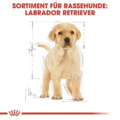 ROYAL CANIN Labrador Retriever Puppy 12 Kg 12 ROYAL CANIN Labrador Retriever Puppy 12 Kg -Haustierprodukte 686c892dd570ae8ec9147221ccd2e4feb5a4fe68 c0a3fdbed5796e52e3f09b24074eb594eee7df83