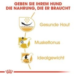 ROYAL CANIN Mops Adult 3 Kg 11 ROYAL CANIN Mops Adult 3 Kg -Haustierprodukte 692380ccc5f5993b19ae774e1237a0f22805c9c6 d7ec305189a355501b117198a53c0db1b2b911df