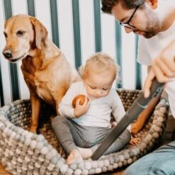 THOMAS AQUA+ Pet & Family Parquet Pro 13 THOMAS AQUA+ Pet & Family Parquet Pro -Haustierprodukte 6a06a607313dbd894623286e7a98c7773a1034a3 1406735 de DE 19e0df3761ba1c9d0c13778d17fc55d12b702950RpbbLZ