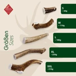 ChronoBalance Geweih Ganz (S) 2er Paket -Haustierprodukte 6a2d01f3eb6870f2e91ba819862c3177a301ed88 1418690 de DE 9000f1c6c85d241db6c67b53955280ae842a85a4bQA7V6