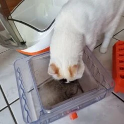 THOMAS Staubsauger -Haustierprodukte 6a70c632a0bab42059bec4b43d139a5d2e40f9ae 1406733 de DE e7e44b3ec14bf6f4d989c5887e4e07bdd5895c48xakBwm