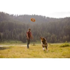 Ruffwear Hydro Plane™ Spielzeug M Orange 12 Ruffwear Hydro Plane™ Spielzeug M Orange -Haustierprodukte 6c9ac29fa7d73ad253d4123b773ec20640d06d12 1364300 de DE ce775489b1cdb84c08a4d820ead0b379f4bcb101D51cd4