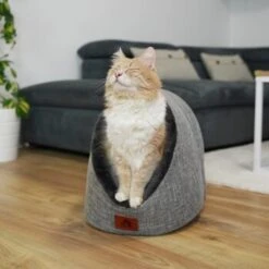 Schlitzohr Katzenhöhle Oskar Grau 18 Schlitzohr Katzenhöhle Oskar Grau -Haustierprodukte 6dc322d0c0c691311c750126461acbb0bfd7f106 1484676 de DE cf48f7f4d140da3e59fb3189e3029debd29d4937tKSJNT