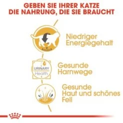 ROYAL CANIN British Shorthair 12x85g -Haustierprodukte 6f1dc92b9b52a43d2267d34aab253596e7be143a 7f0fd40bf73b9dd0972df6cd9651a951bdb28212