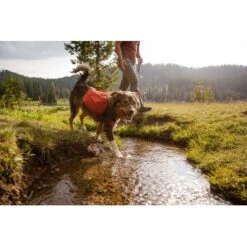 Ruffwear Front Range™ Hundetagesrucksack Rot XS -Haustierprodukte 6fcda691161ff080a6f6075669f57b606bb5abbe 1639836 de DE 827ca11f058fc24bc21d1c4bb6cec8d9576cc1835E84NB