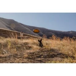 Ruffwear Hover Craft™ Spielzeug Orange 13 Ruffwear Hover Craft™ Spielzeug Orange -Haustierprodukte 7111f12b44323f3d6c15a85a889225520ab85f0d 1364297 de DE 664accd36f55b32e3ca302e20a868b09c8c0d85ePbTUSI