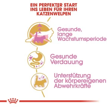 ROYAL CANIN Maine Coon Kitten 4 Kg 4 ROYAL CANIN Maine Coon Kitten 4 Kg – Bild 4