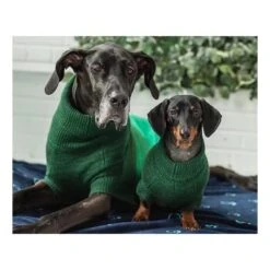 GF Pet Trail Pullover Forest Grün XXXS -Haustierprodukte 779f298087cae5c721d39d0e409ff830d9702e07 51764b41ec1e519efc4e7ae3561161e25d618dc0