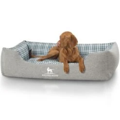 Knuffelwuff Hundebett Lennard Aus Velours Mit Karomuster Grau/ Grün XXL -Haustierprodukte 77cd2fde6feceace1fba07d8f7047a2d273aad91 1411841 de DE 568bc0d024899bdc6bfb944935cc91159a88fbdee2ARA2