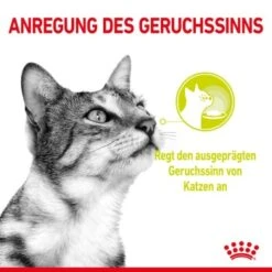 ROYAL CANIN SENSORY Smell Taste Feel Multipack In Soße 12x85g 11 ROYAL CANIN SENSORY Smell Taste Feel Multipack In Soße 12x85g -Haustierprodukte 798794361bcbcbc0523585b876cea563123ad216 fb85a5371032b713470979e8014bf8e69b6f879c
