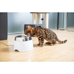 AniOne Edelstahl-Trinkbrunnen Trevi Ohne Ersatzfilter -Haustierprodukte 7a066af048695bbfaeca0a855e5984fc3bf99d03 689fcf415d486ac05c07f2a4868b1d087d7a9ece