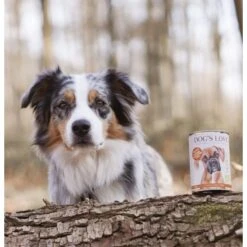 DOG'S LOVE BIO 6x400g Pute Mit Amaranth & Kürbis 6 DOG'S LOVE BIO 6x400g Pute Mit Amaranth & Kürbis -Haustierprodukte 7cfb335242819e2022e06cd6adfa2d944e3f1da6 1274540 1