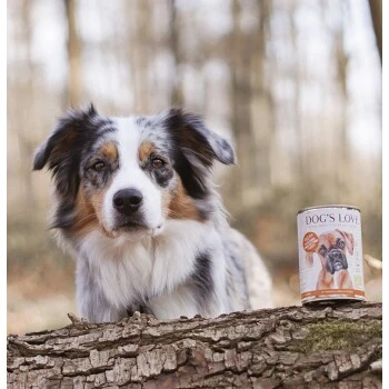 DOG'S LOVE BIO 6x400g Pute Mit Amaranth & Kürbis 3 DOG'S LOVE BIO 6x400g Pute Mit Amaranth & Kürbis – Bild 3