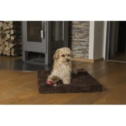 TrendPet VitaMedog Orthopädische 5 Cm Matratze Braun XS -Haustierprodukte 7d0faf17044fbc592bfd226ff10f00e095c469b0 1223160 de DE 8af483129b881c09ac13f204f7c52bc2733d451eq1MzCw