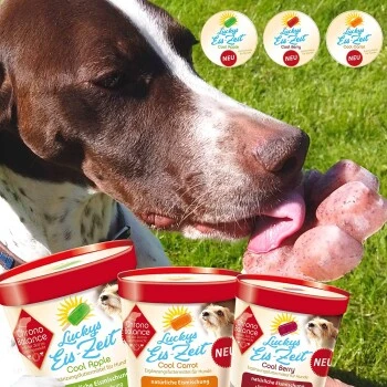 ChronoBalance Hundeeis Zum Selbermachen 3 Sorten + Form 2 ChronoBalance Hundeeis Zum Selbermachen 3 Sorten + Form – Bild 2