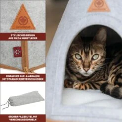 Canadian Cat Company Katzenzelt Cone -Haustierprodukte 809a3c44a93f6813e3f594a392c884994f2cb8be 1394210 de DE c6578ffbb5eb34e2b0106dd76bcafeaede82606a8Hawov