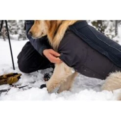 Ruffwear Cloud Chaser™ Hundejacke Schwarz XXS 17 Ruffwear Cloud Chaser™ Hundejacke Schwarz XXS -Haustierprodukte 839577c6525280e266f62f99f67ccc111fd75c4b 1369623 de DE 87ed046f15d6c099e4f33a0b92b8494c495a6d97bF4WS9
