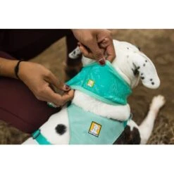 Ruffwear Swamp Cooler™ Kühlendes Halstuch Blau/ Türkis XXS 14 Ruffwear Swamp Cooler™ Kühlendes Halstuch Blau/ Türkis XXS -Haustierprodukte 84380b323534f706adb064c5f59bfe1f6f8adfcb 1639914 de DE 09b76313830836f68f333eee06c0a6bd83fbeec4Hirkw3