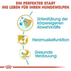 ROYAL CANIN Cavalier King Charles Puppy 1,5kg -Haustierprodukte 8477cc223d19a0eaa764098b9a973fa4fa3923d5 9f011f1614bbba8a795261ef7a01092ffc976562