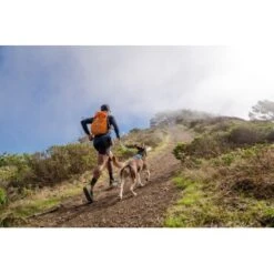 Ruffwear Hi & Light™ Geschirr Blau XXXS -Haustierprodukte 84fb3768d76aaadc77eacf0db0051f1af74c62df 1453085 de DE 781043d5a0c42f3d294eead840f1254891671d23roVLy1