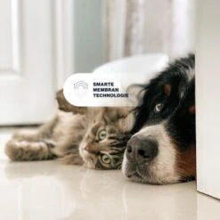 KYVETIN Spray Skin Repair Für Hunde Und Katzen -Haustierprodukte 851cbfa418e315e47d7ba499ec62be71e3229497 1364195 de DE KyvetinSpray 7