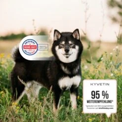 KYVETIN Spray Skin Repair Für Hunde Und Katzen -Haustierprodukte 855eb3c7fca7c841451cde094ef9ccbea4bfbca8 1364195 de DE KyvetinSpray 5