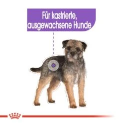 ROYAL CANIN Mini Sterilised 8 Kg 13 ROYAL CANIN Mini Sterilised 8 Kg -Haustierprodukte 888ecb70e28e9e0430e65732e66adfe151b1387c 1f75de8a24762a98458f9a1011ca31f8459ade9b