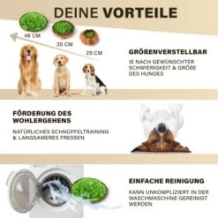 URBAN PAUL Schnüffelteppich - Grün -Haustierprodukte 88b1e83589eb6f9b9d6ae1ee9e00f76cd280ec72 1477263 de DE c4a0dff3ce61eff6f47a9625e837cb3fb18e27168j8mOa