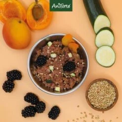 Aniforte Ente 2,4 Kg 14 Aniforte Ente 2,4 Kg -Haustierprodukte 8935a7450ab8ddc34729bfe6098b06abc30af9cb 1422204 de DE 9202deb0f72c6fb6a090e358d9de03093d55392085KOyC