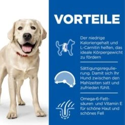 Hill's Science Plan Light Adult Large Breed Mit Huhn 18 Kg -Haustierprodukte 8a2f8f0cfb00e9d10c3215f8584bc7fdb5ea7eb1 52742025902 4