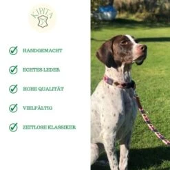 Kipita Polo Hundeleine Rainbow -Haustierprodukte 8abb42b32cbc1eac256c2e5aaed5b5ad720cf72c 1410959 de DE e149407534bdcfb2672e3057857c7f56cd770233aiC6wq