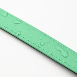 THE DOG IDEA Biothane Halsband Mint Mint S -Haustierprodukte 8b56ebbdaaffac6755df46ff5e991ac1f2e098f1 1679174 de DE 917dddc9a1240fb91bb3a35d4cda568edf48f015TLoJLR