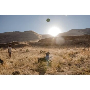 Ruffwear Hover Craft™ Spielzeug Orange 8 Ruffwear Hover Craft™ Spielzeug Orange – Bild 8